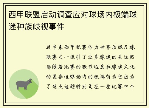 西甲联盟启动调查应对球场内极端球迷种族歧视事件